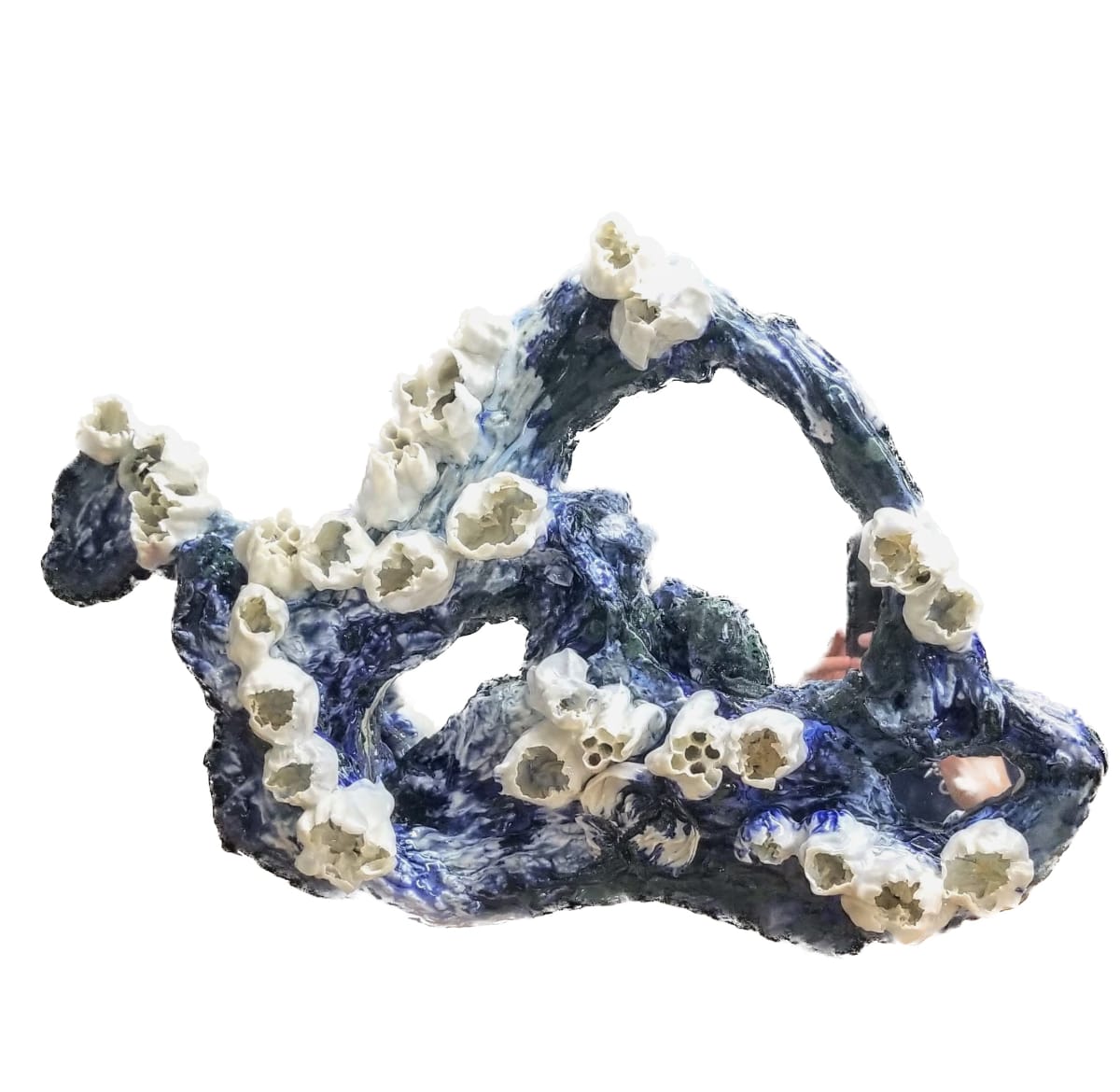 Tide Mind Transition by Kate Rusek 