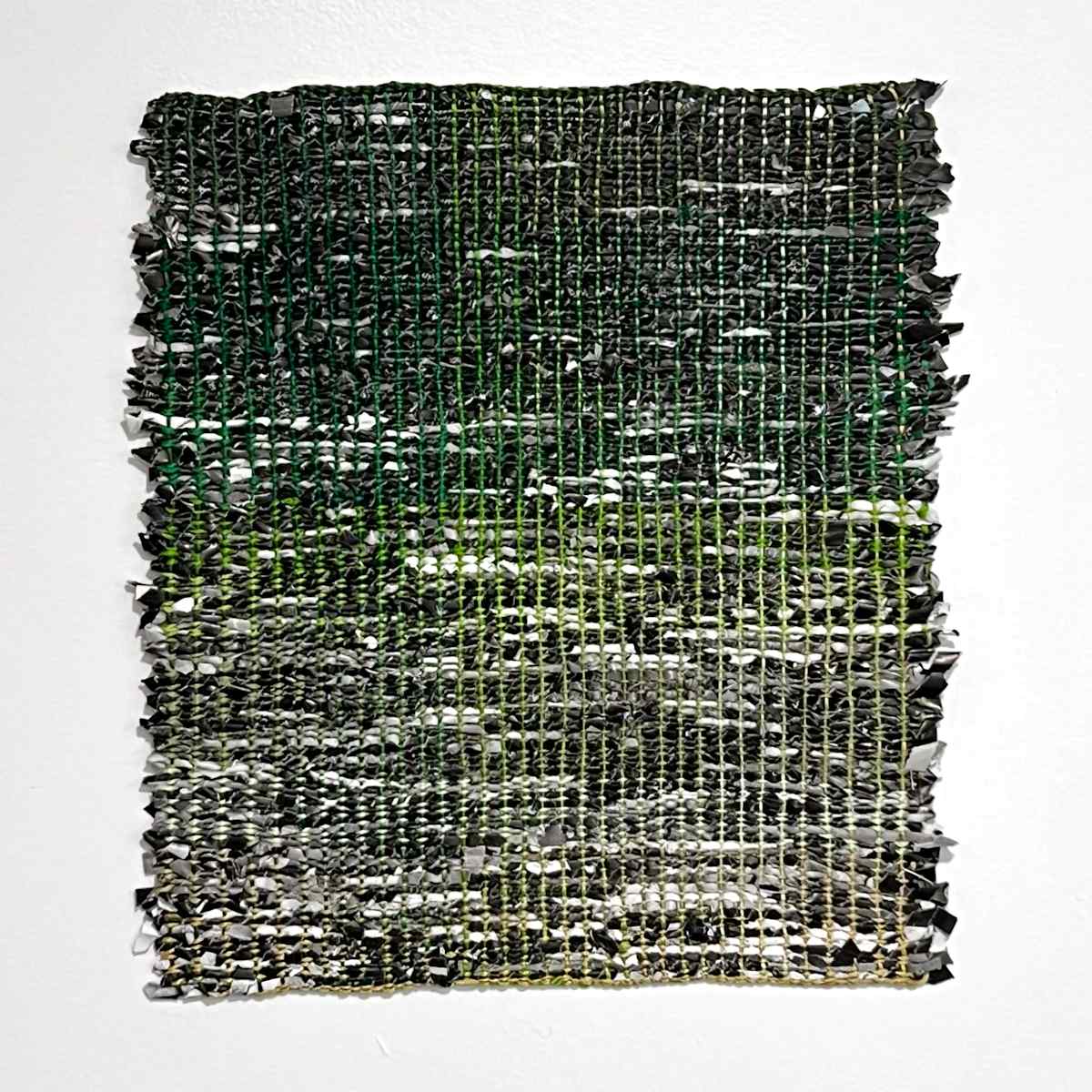 We used to go into the forest by Tali Weinberg 