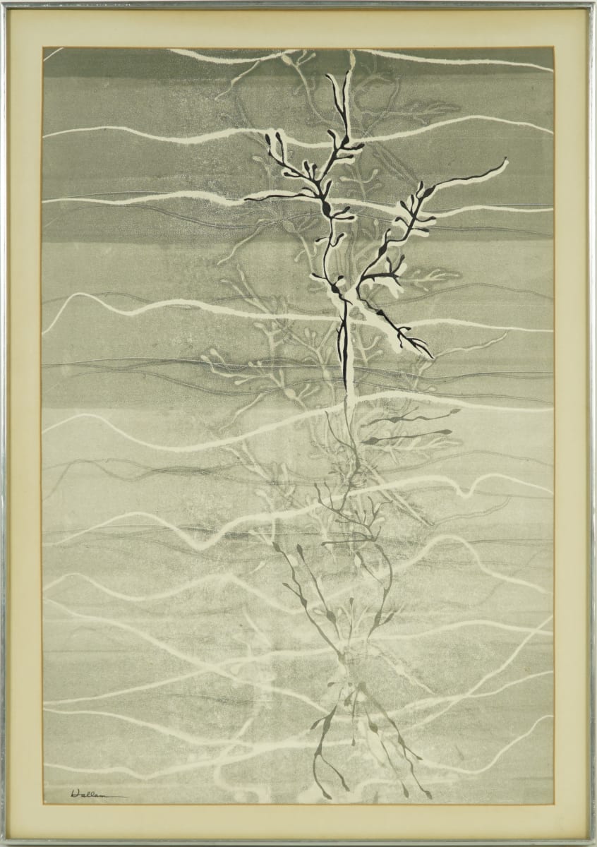 Seaweed by Beverly Hallam 