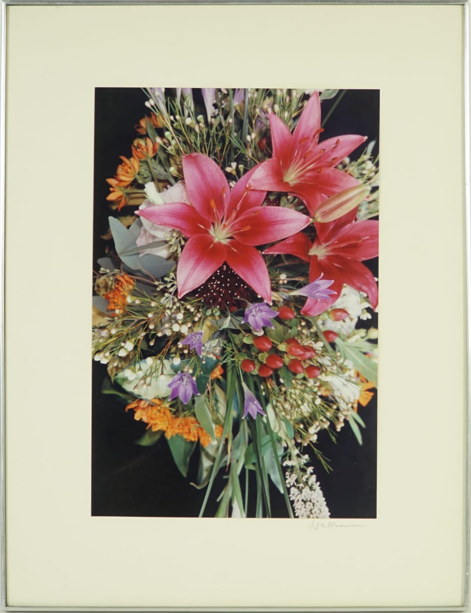Unknown by Beverly Hallam, Image 2.