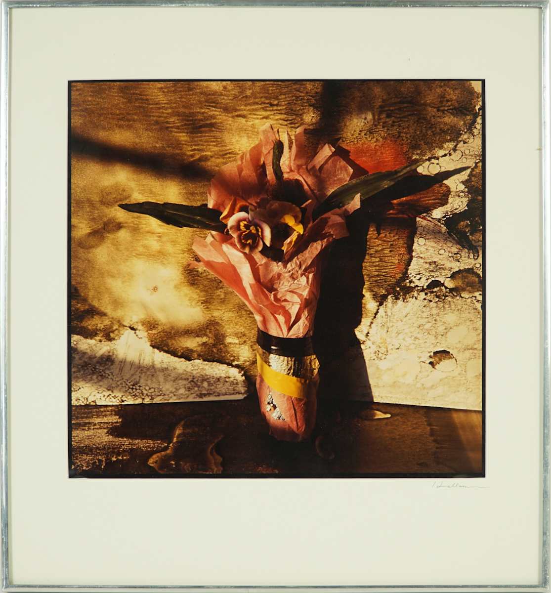 Pansies by Beverly Hallam, Image 1.