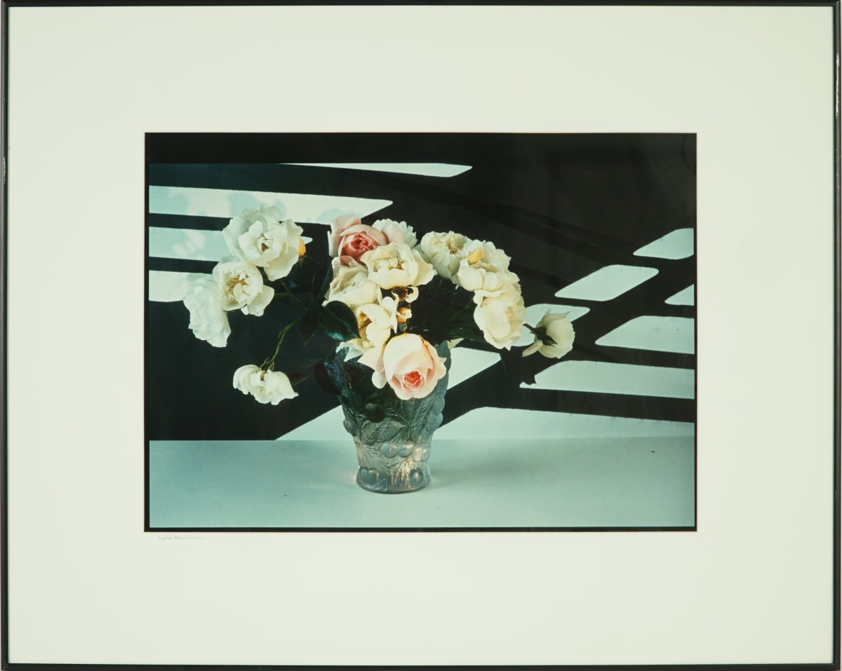 Marion’s Roses by Beverly Hallam 