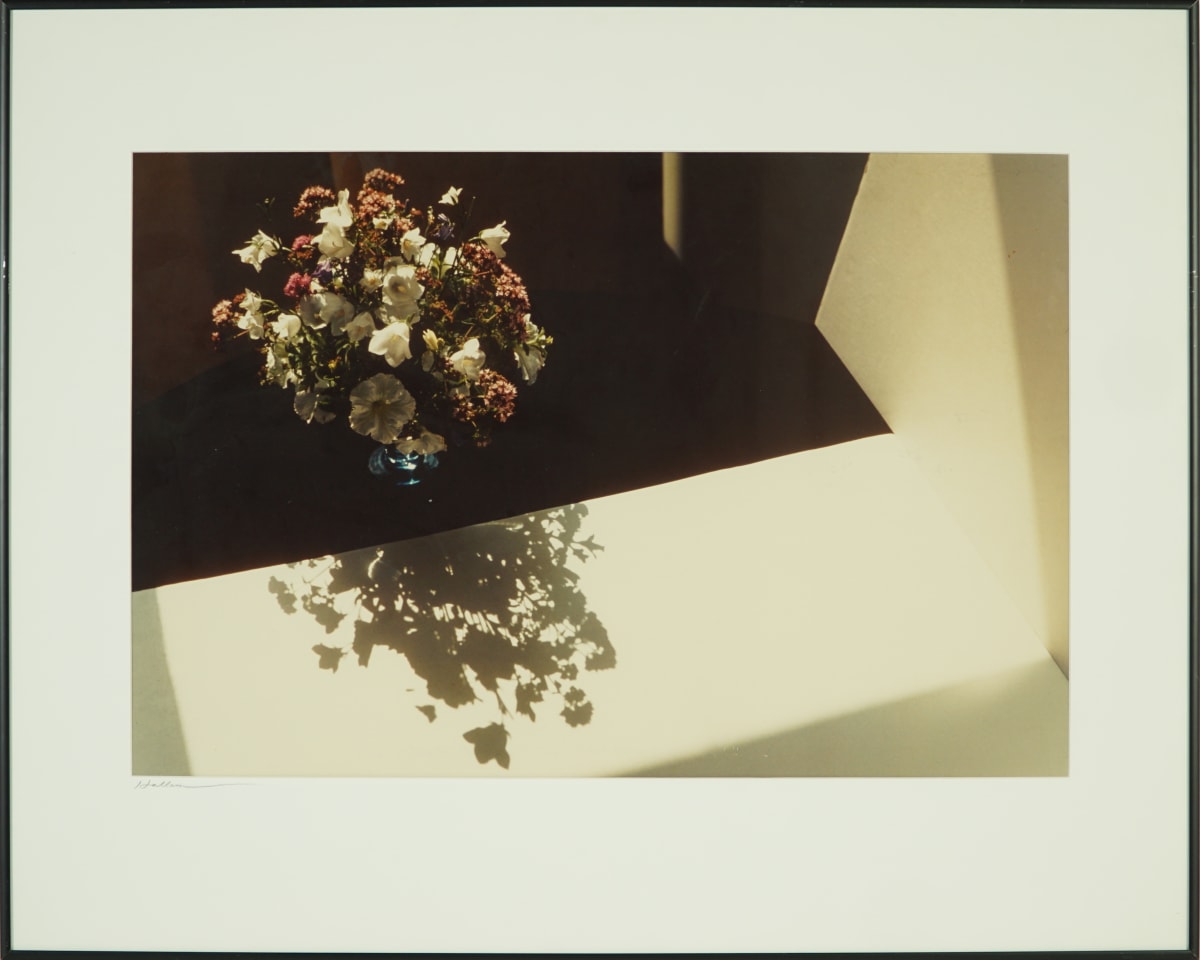 Joe-Pieweed With Friends by Beverly Hallam, Image 2.