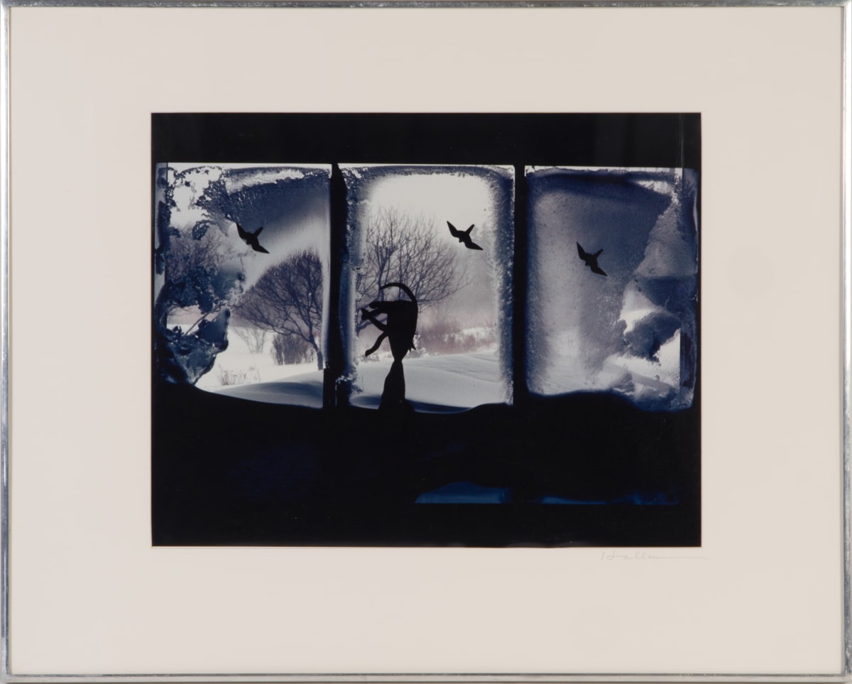 Snowstorm by Beverly Hallam 