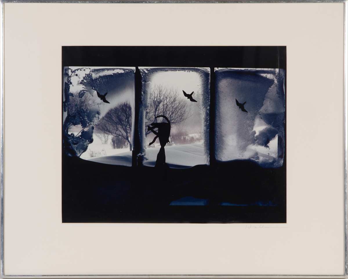 Snowstorm by Beverly Hallam, Image 2.