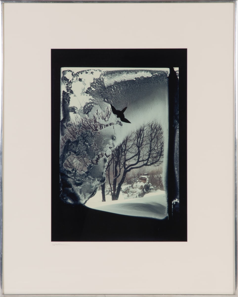Snowstorm by Beverly Hallam, Image 2.