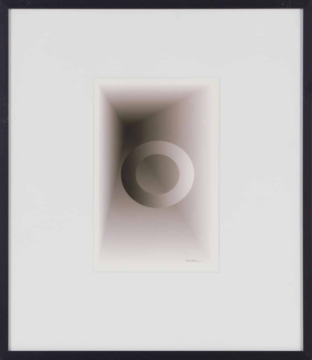 Suspended by Beverly Hallam 