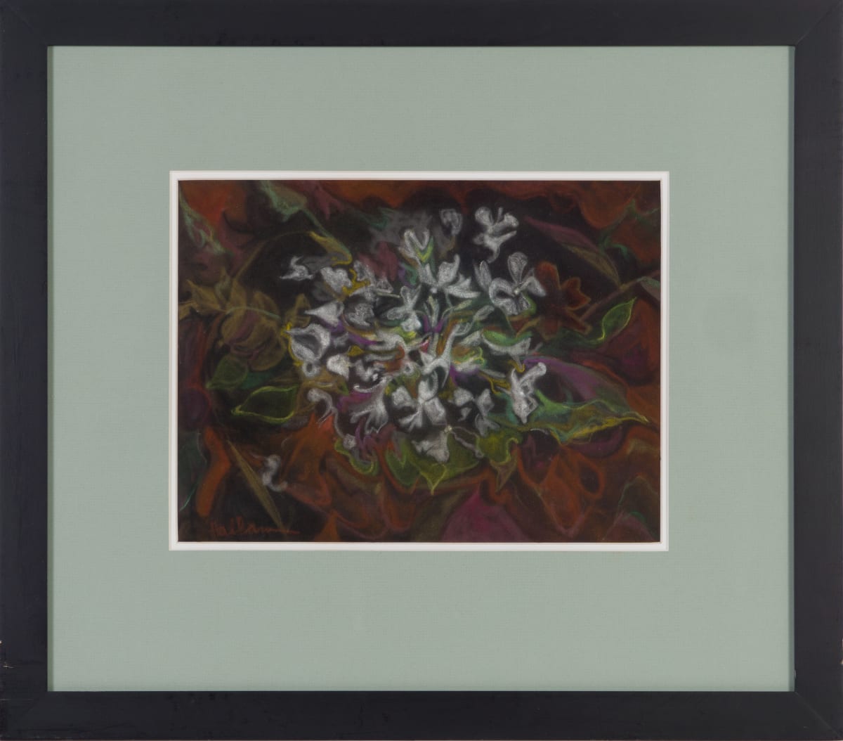 Mountain Snow (Geranium) by Beverly Hallam 