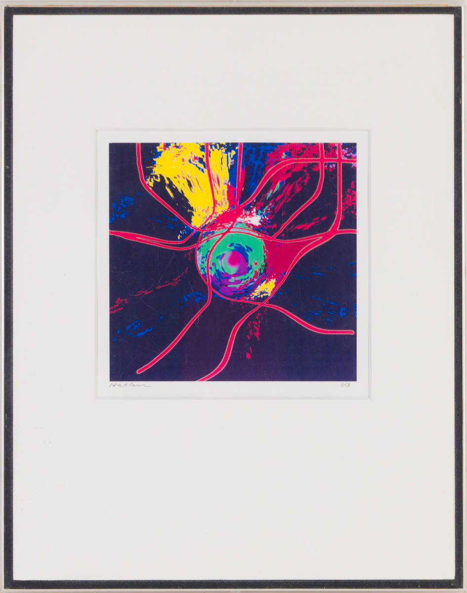 ZITZU by Beverly Hallam, Image 2.