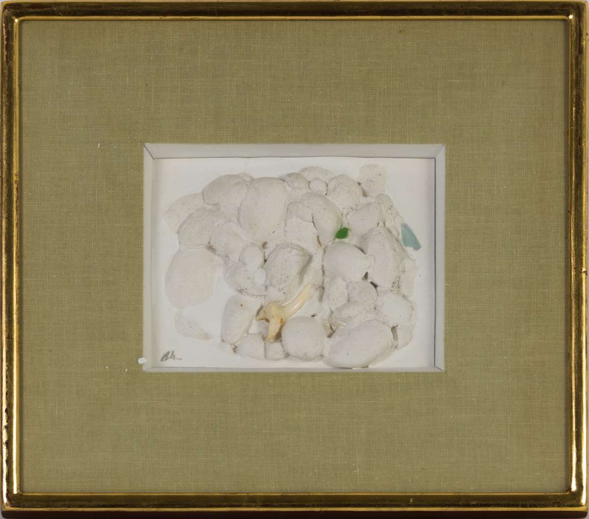 Sharks Tooth by Beverly Hallam, Image 2.