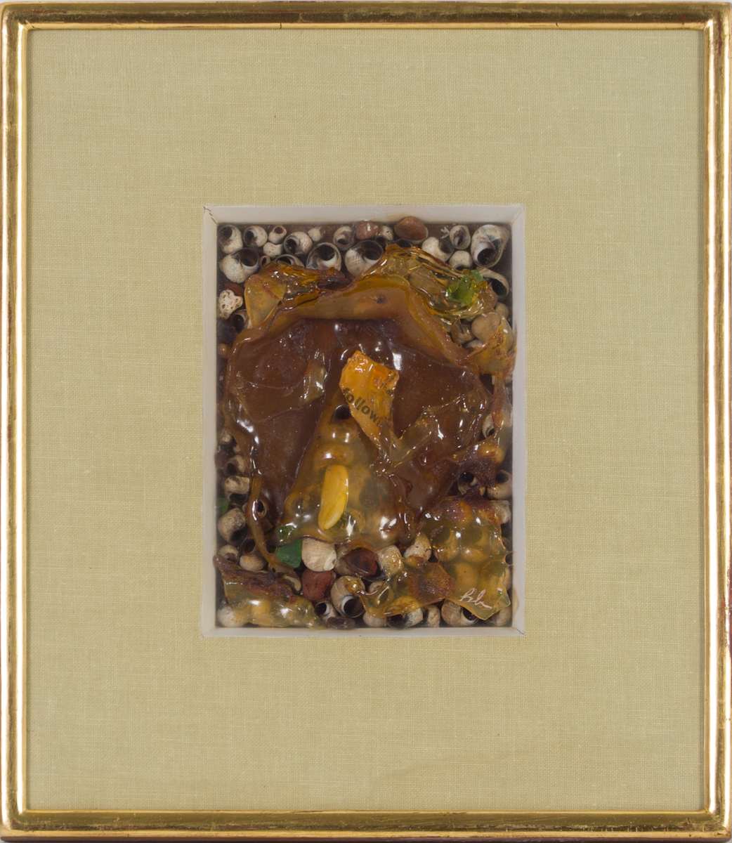 Seacell - Two by Beverly Hallam, Image 2.