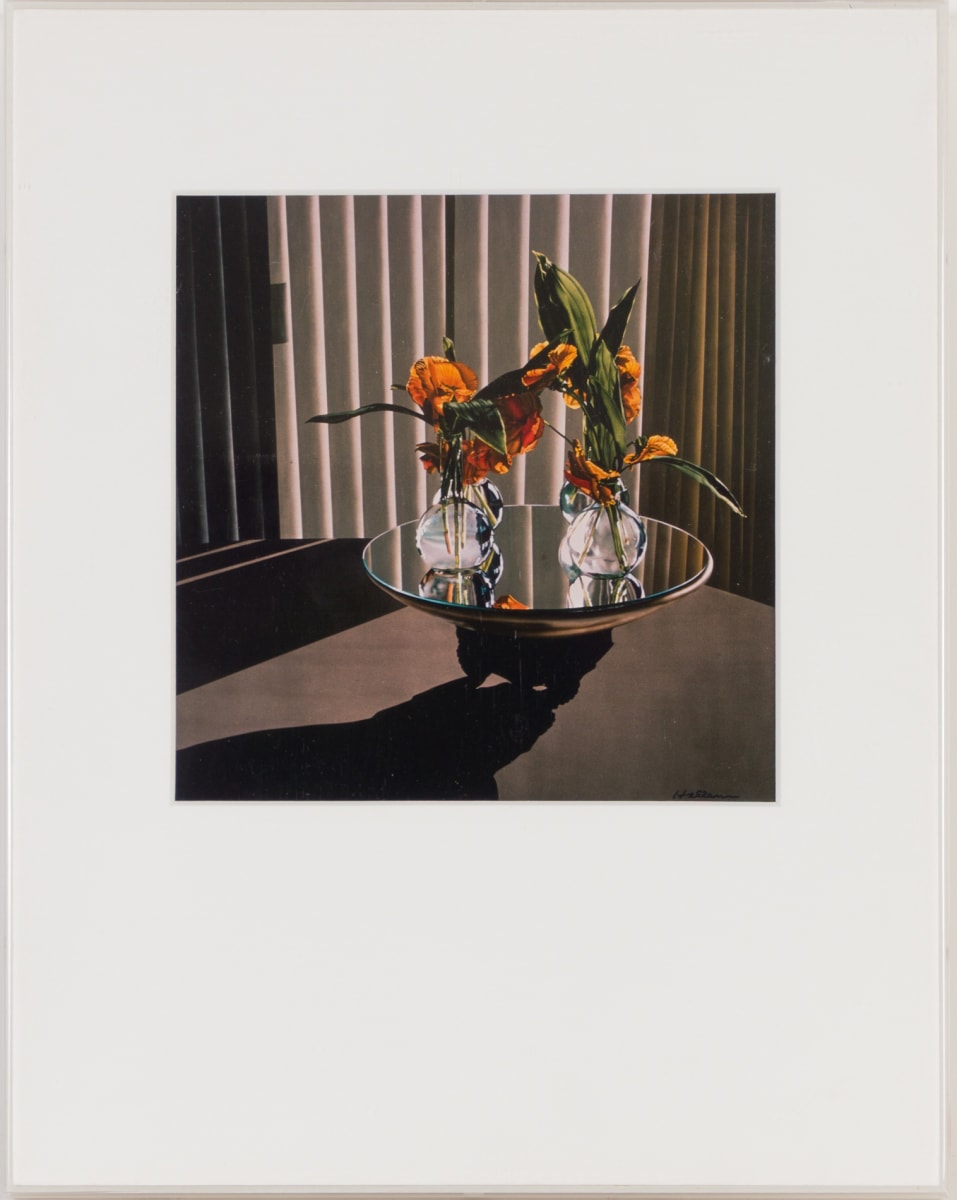 Orange Prince (Reproduction) by Beverly Hallam 