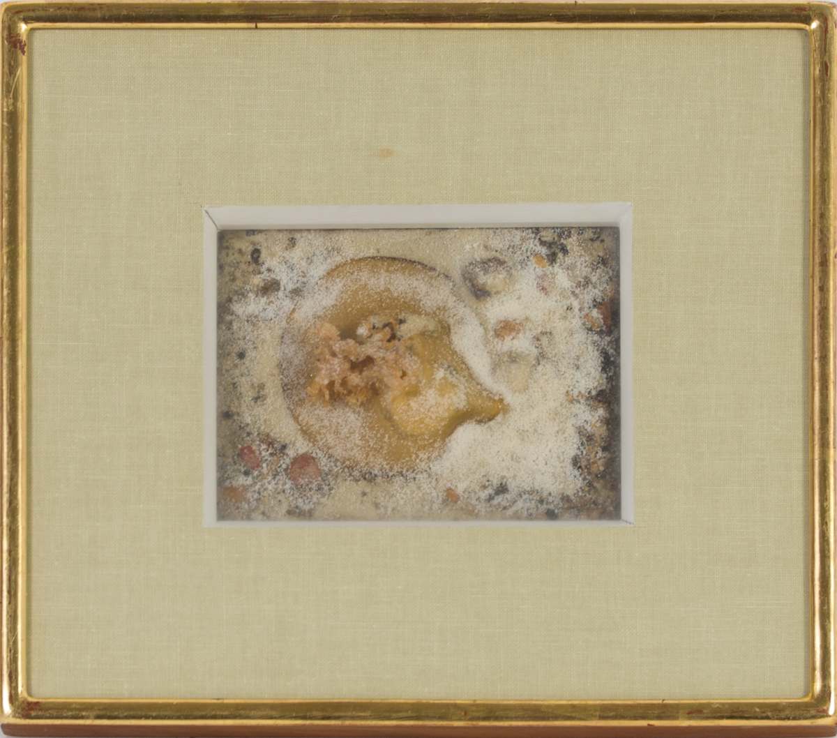 Seacell - Three by Beverly Hallam, Image 2.