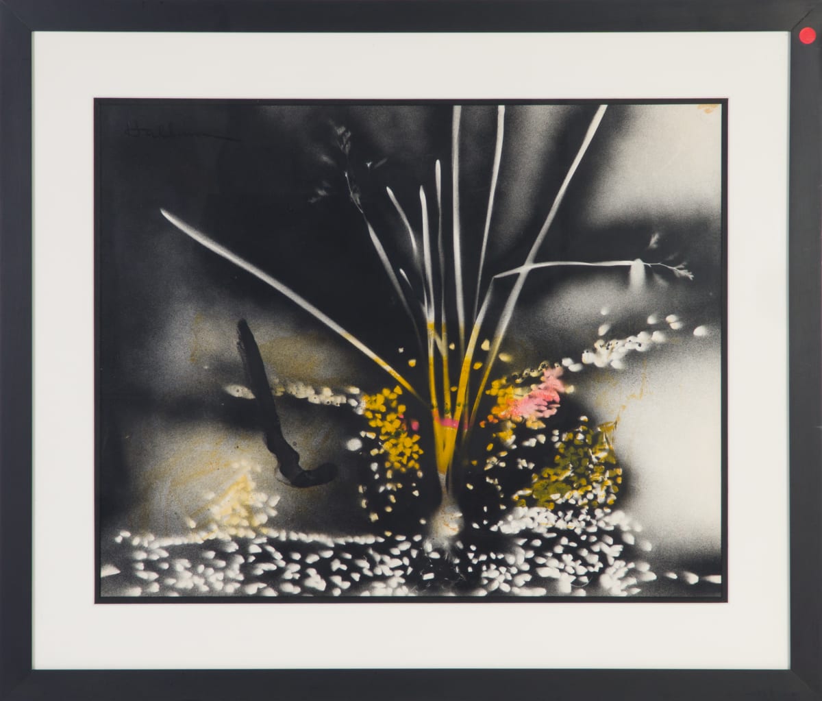 Narcissus Bulb by Beverly Hallam 