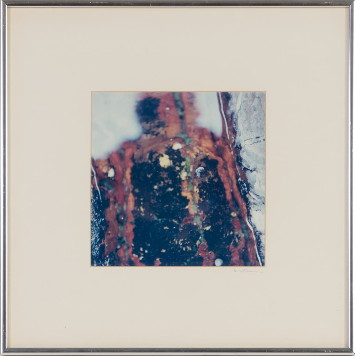 Shadow In The Tide Pool by Beverly Hallam, Image 2.