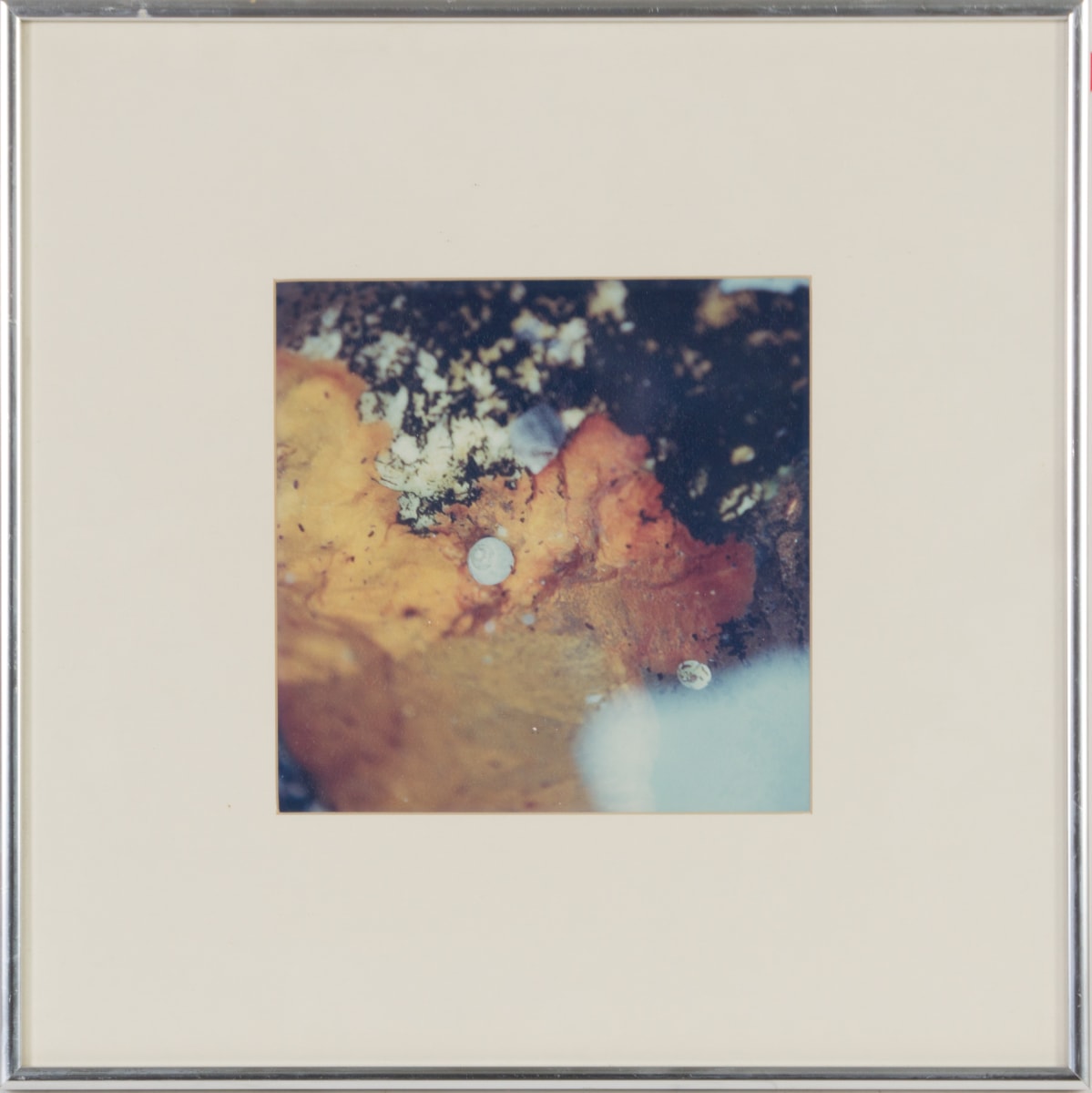 Tide Pool (Study for "Terns") by Beverly Hallam, Image 2.