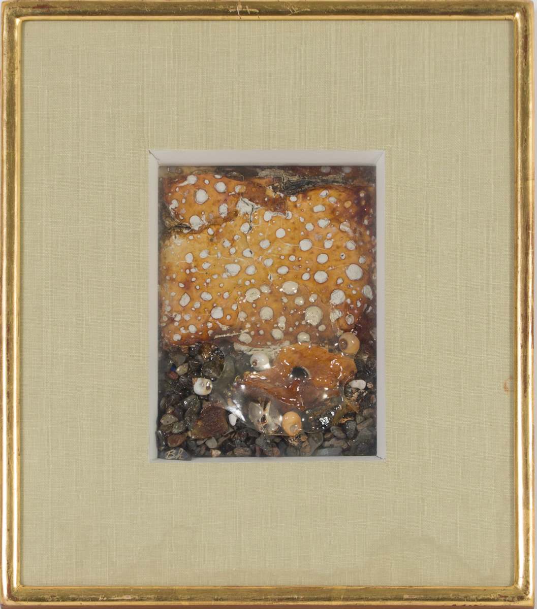 Seacell - Six by Beverly Hallam, Image 2.