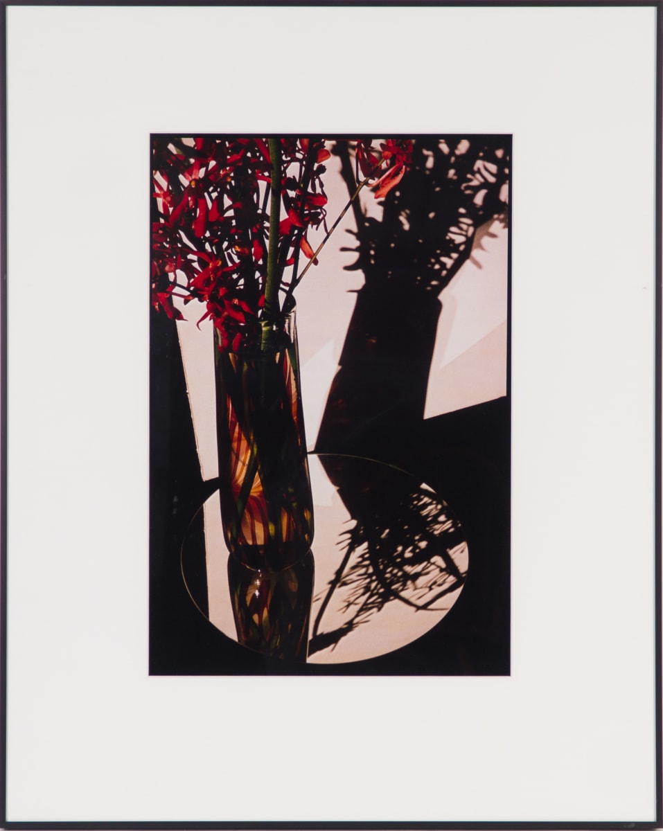 Firecracker Flowers by Beverly Hallam, Image 2.