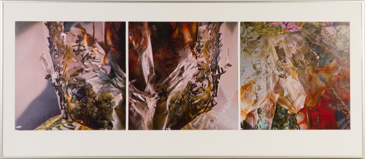 Title Unknown by Beverly Hallam 