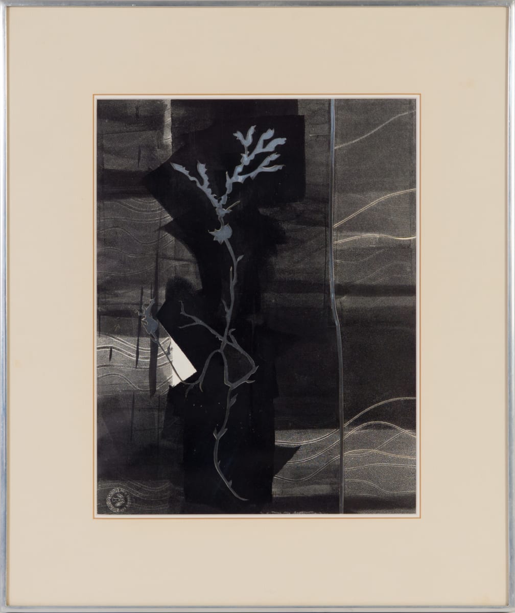 Seaweed, Silver I by Beverly Hallam 