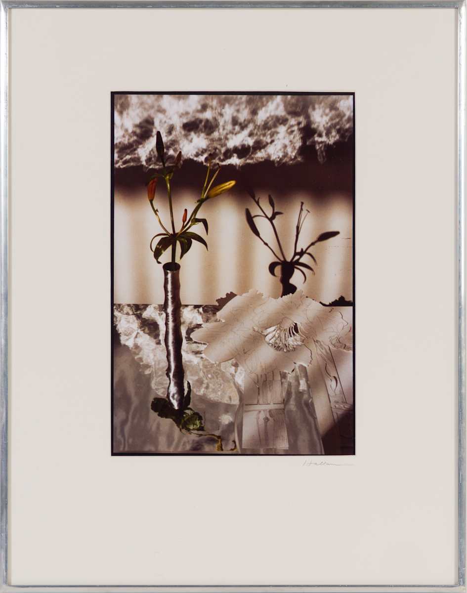 Lily Buds by Beverly Hallam, Image 1.