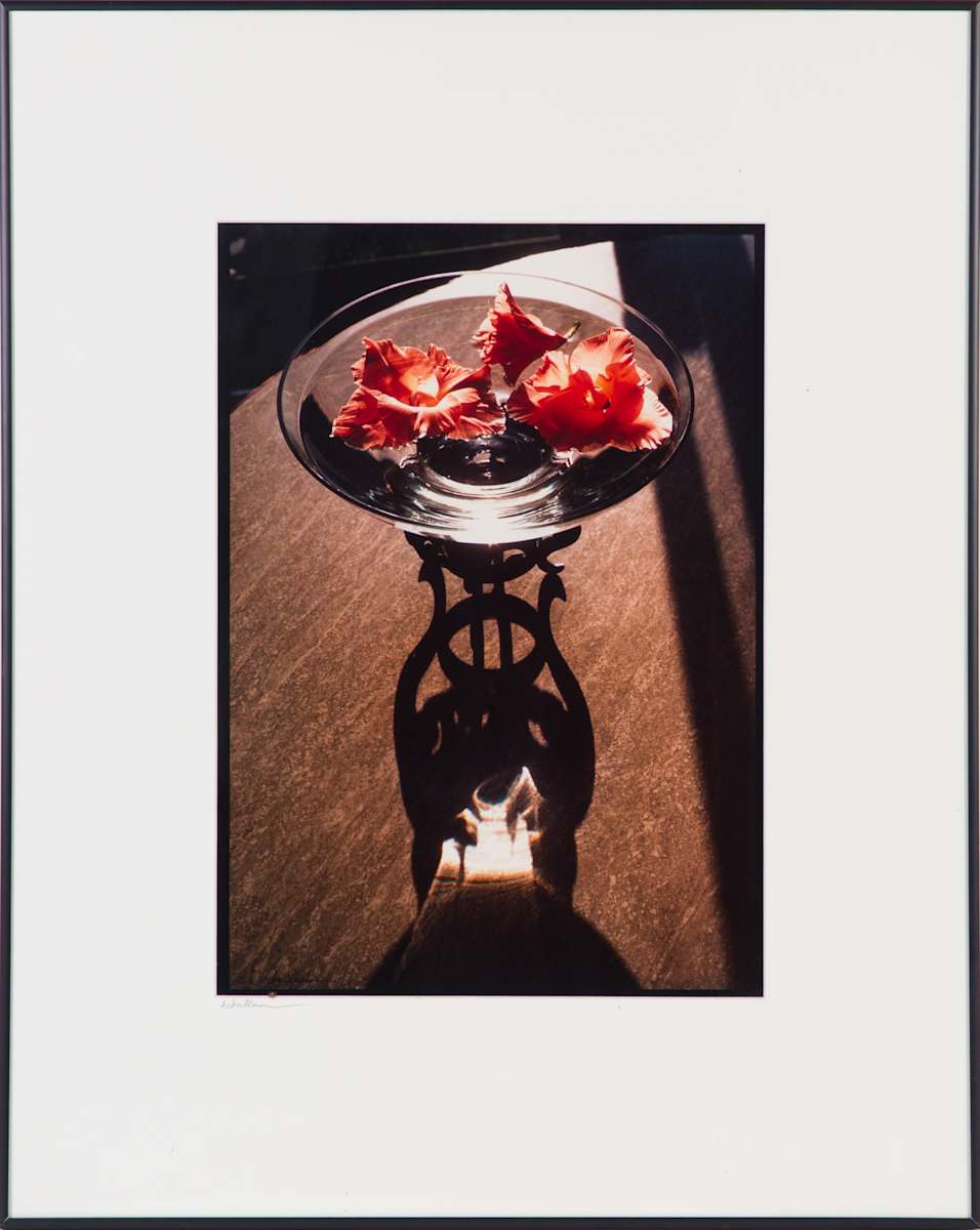 Floating Hibiscus by Beverly Hallam, Image 2.