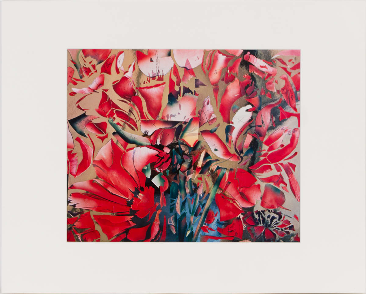 Emperors by Beverly Hallam 