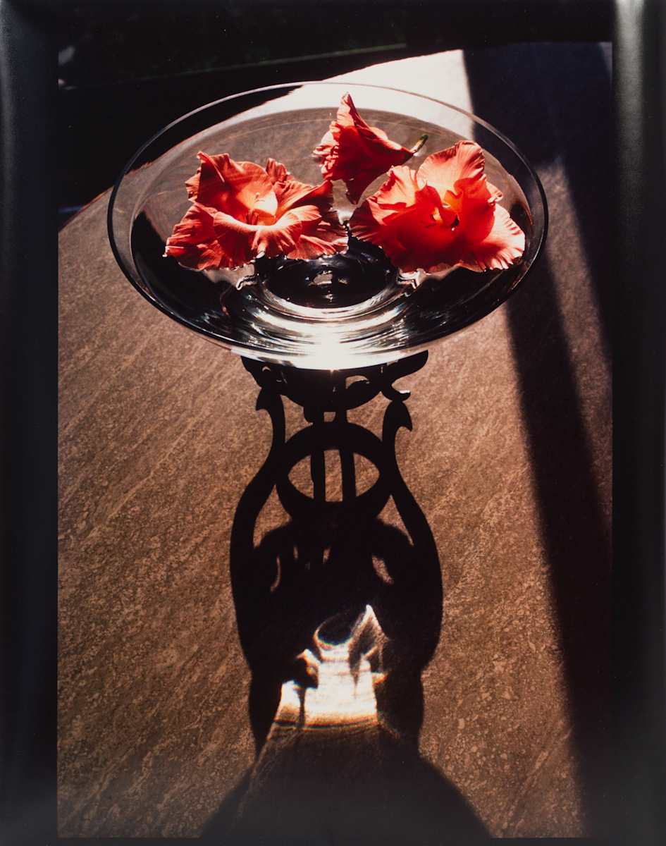 Floating Hibiscus by Beverly Hallam, Image 2.