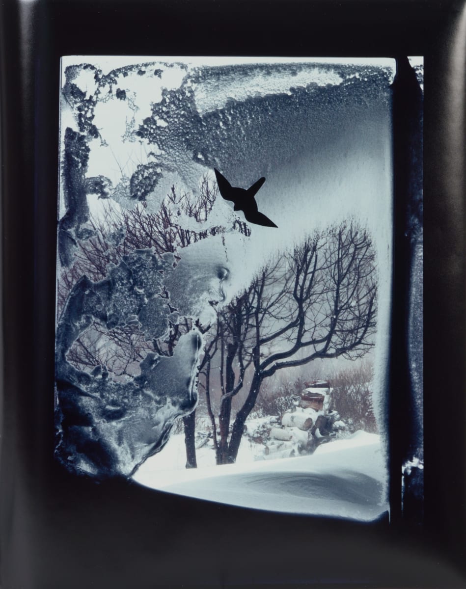 Snowstorm by Beverly Hallam 