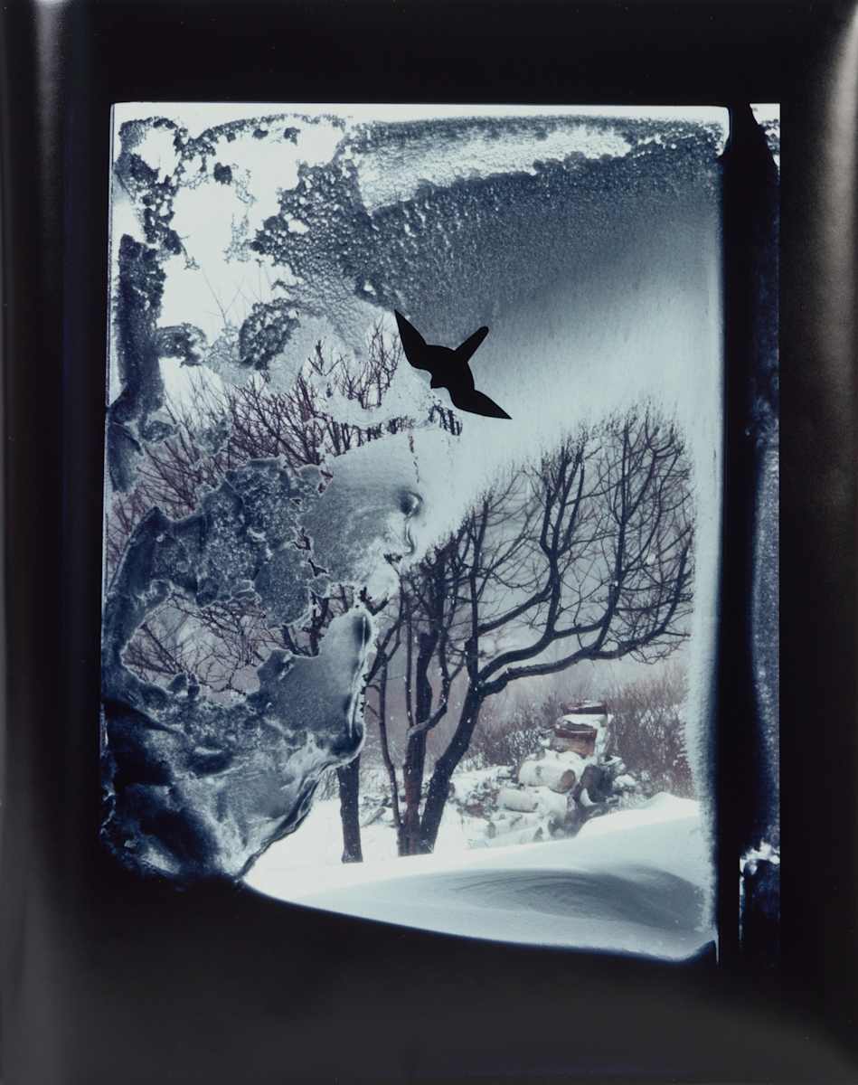Snowstorm by Beverly Hallam, Image 2.