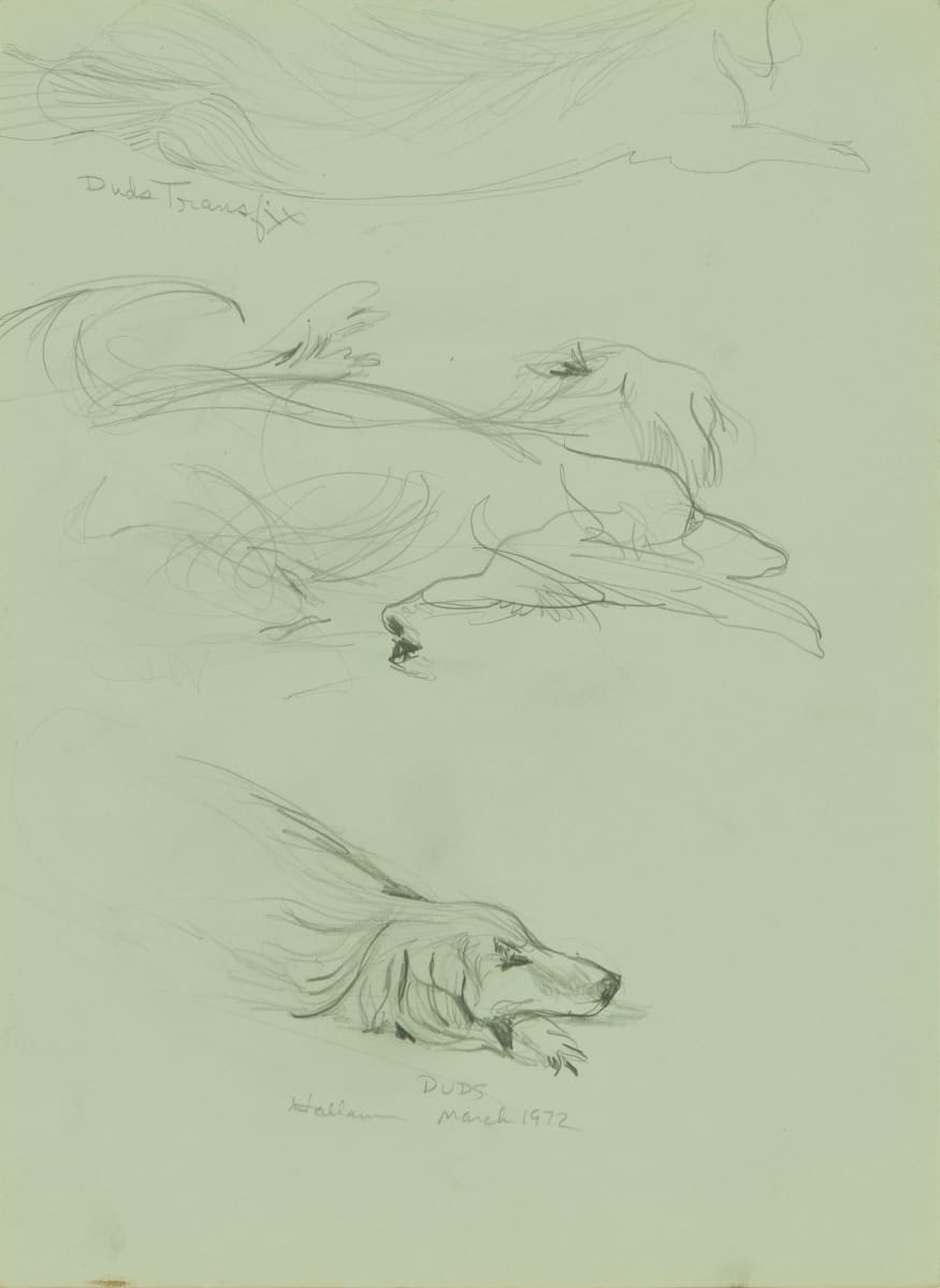 Duds by Beverly Hallam 