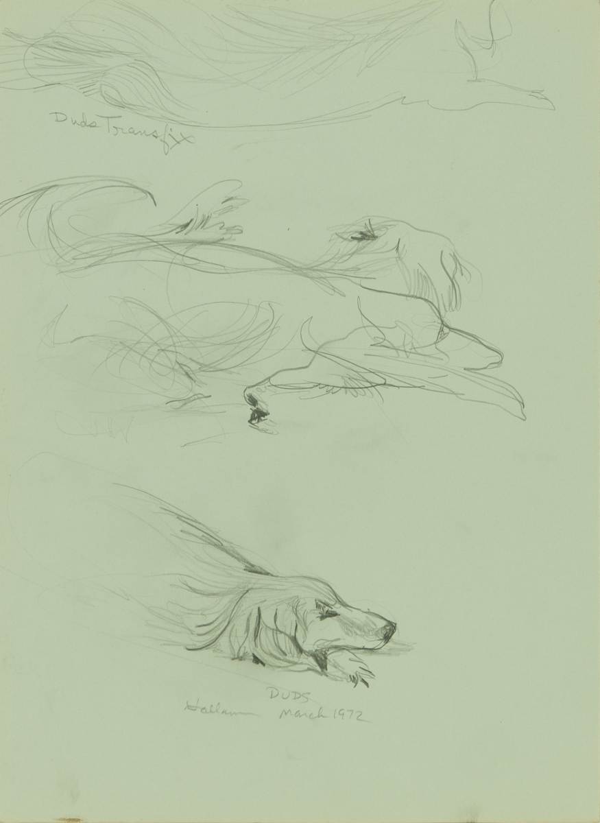 Duds by Beverly Hallam, Image 2.