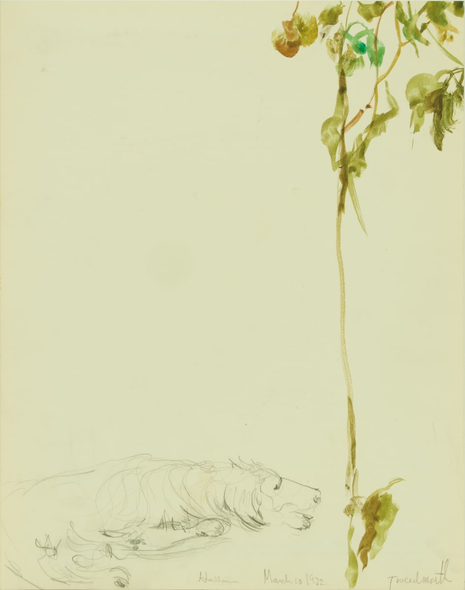 Tweedmouth by Beverly Hallam 