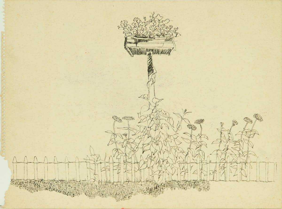 Mum’s Backyard by Beverly Hallam, Image 2.