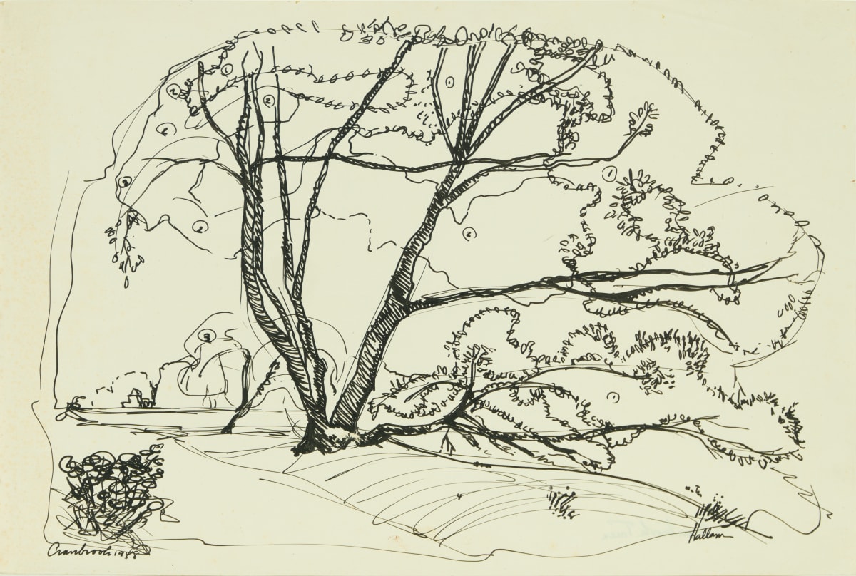 Cranbrook Tree by Beverly Hallam 