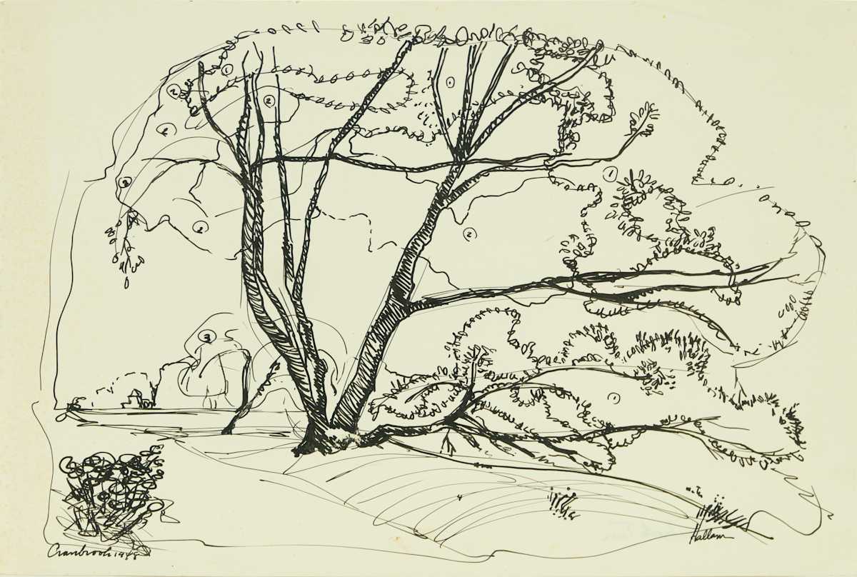 Cranbrook Tree by Beverly Hallam, Image 1.