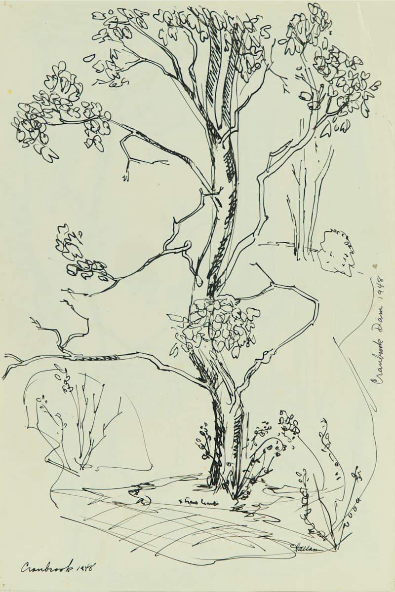 Cranbrook 1948 by Beverly Hallam, Image 1.