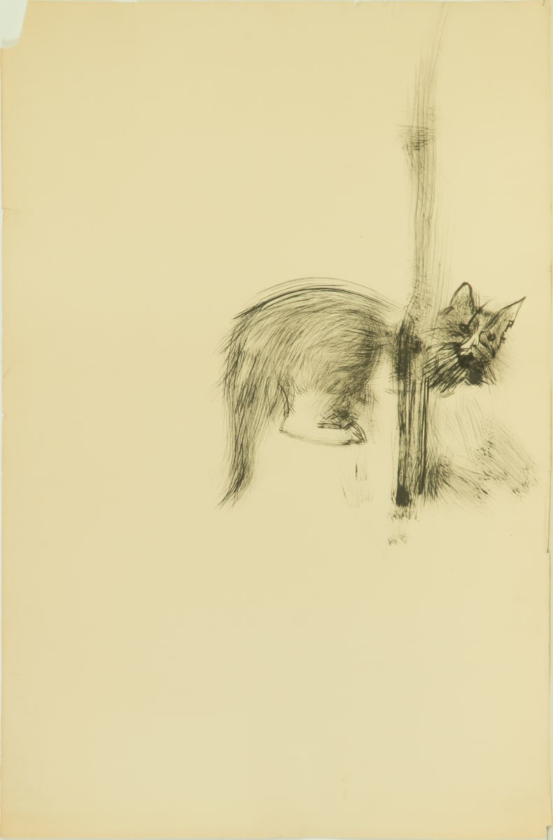 Title Unknown by Beverly Hallam 