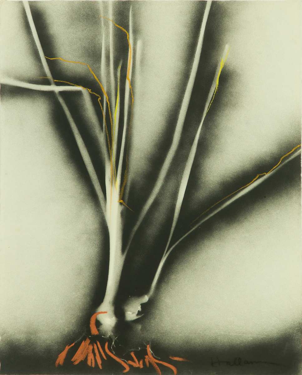 Title Unknown by Beverly Hallam, Image 1.