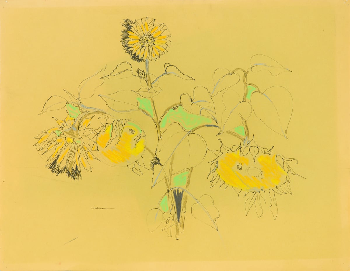 Title Unknown by Beverly Hallam, Image 2.