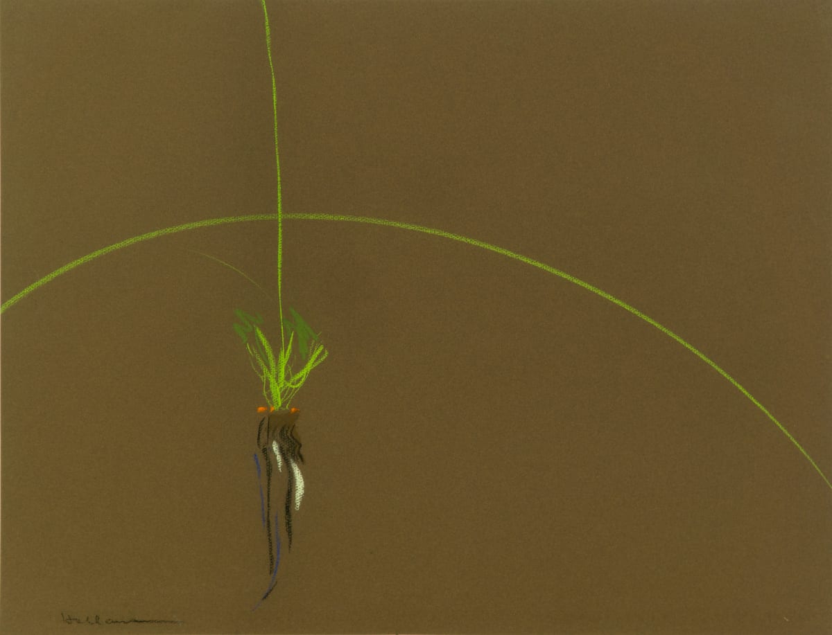 First Signs (Rooting) by Beverly Hallam 