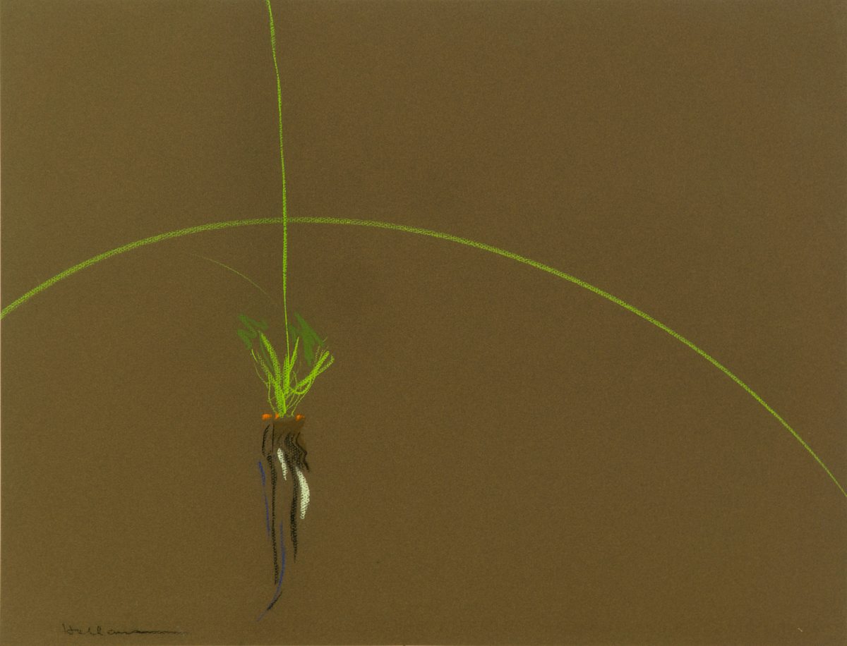 First Signs (Rooting) by Beverly Hallam, Image 1.