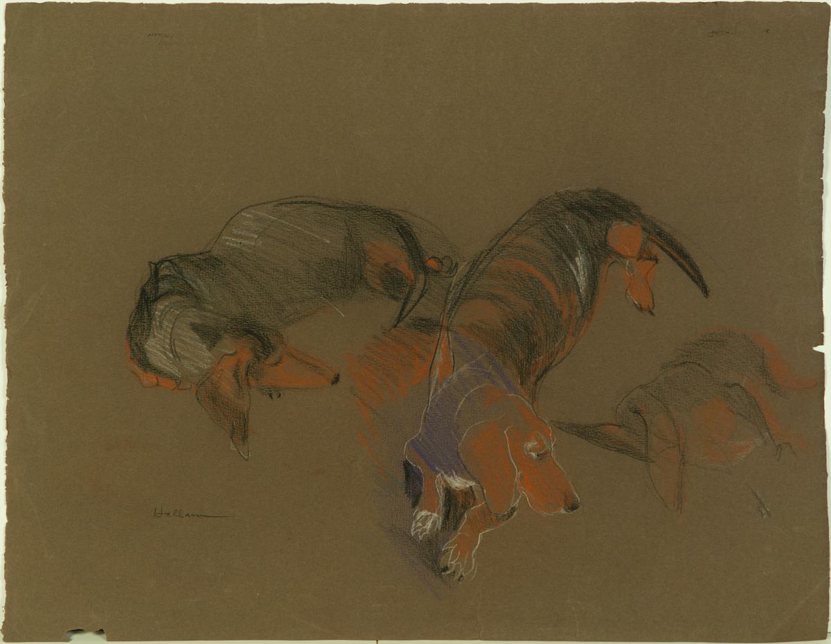 Dulcy by Beverly Hallam, Image 1.