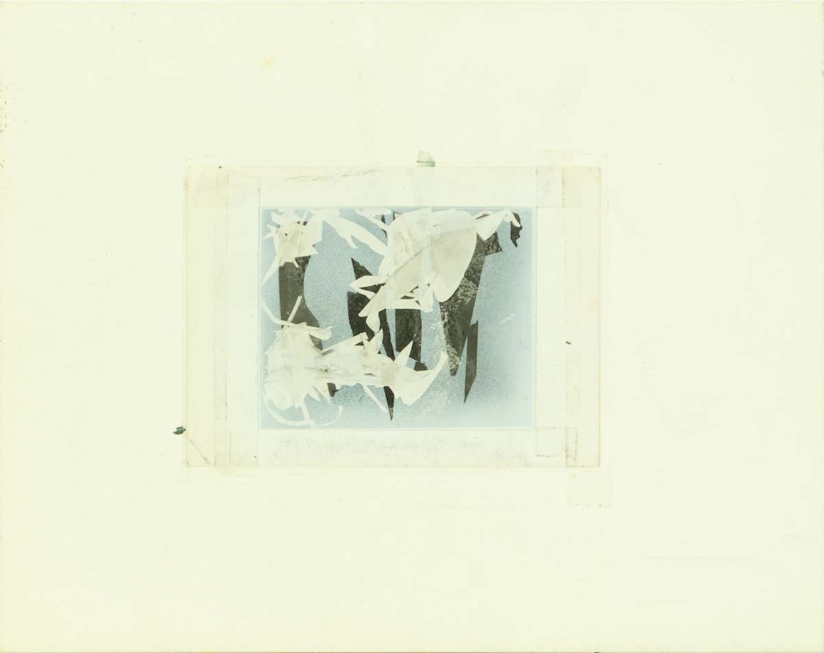 Title Unknown by Beverly Hallam, Image 1.