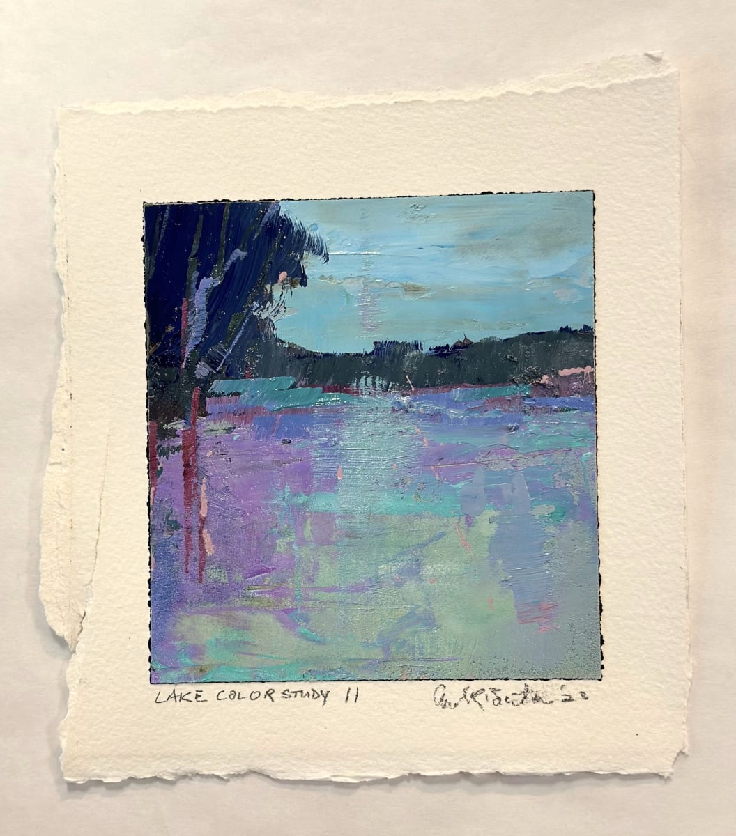 Lake Color Study II by andy braitman, Image 4.