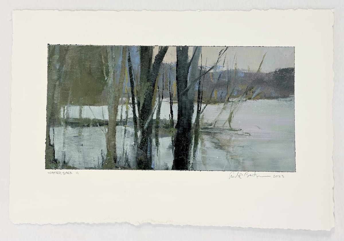 Watershed Study II by andy braitman, Image 3.
