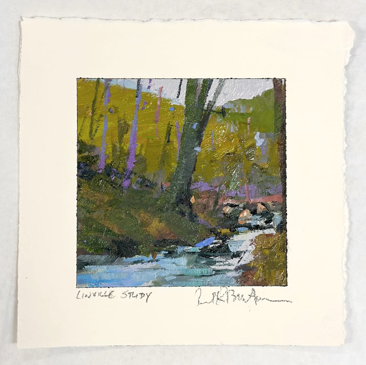 Linville Study by andy braitman, Image 6.