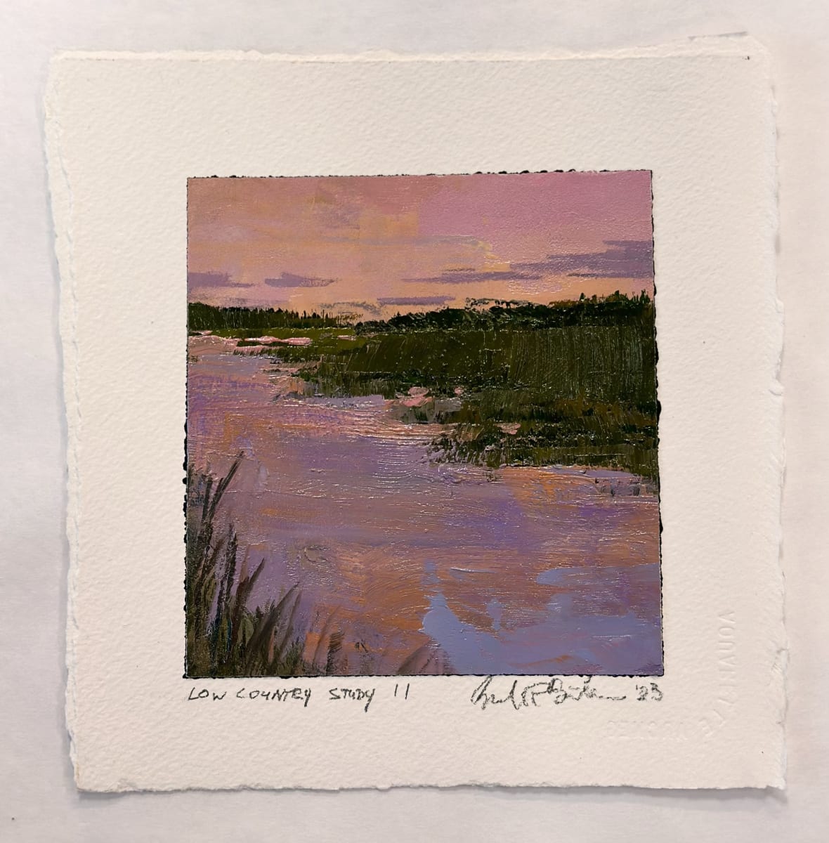 Low Country Study II by andy braitman, Image 6.