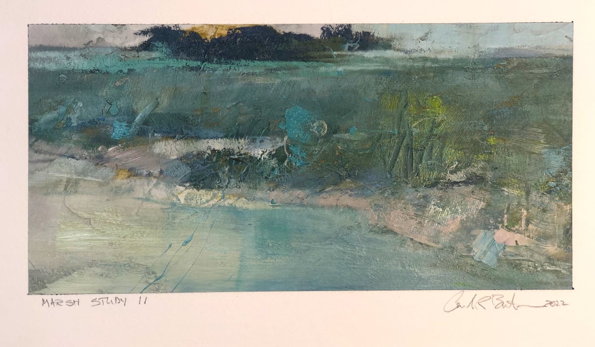 Marsh Study  II by andy braitman, Image 4.