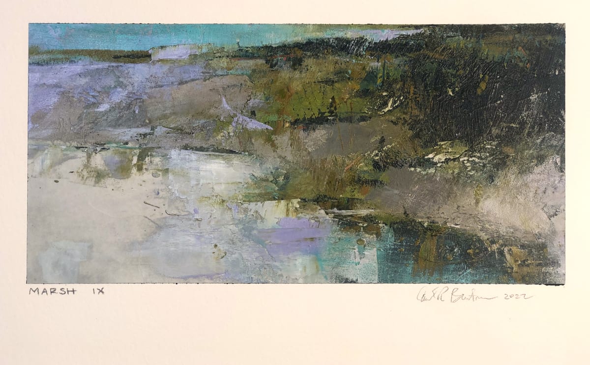 Marsh IX by andy braitman, Image 3.